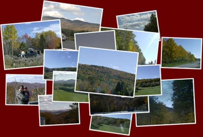 View Fall 2009