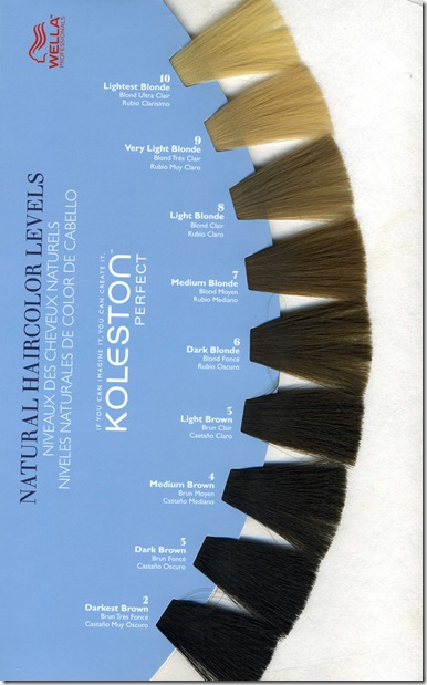 wella KP 2010 chart138 wella KP 2010 chart138