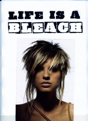 [hair+pro+set049[15].jpg]