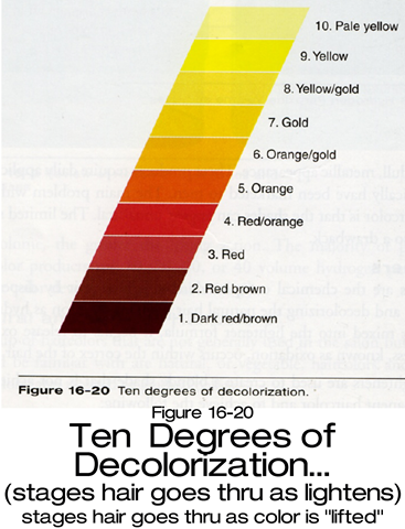 [10 degrees99[1].png]