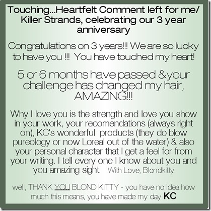 0009commentkilller2 0009commentkilller2