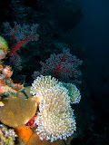 IMG_1898.JPG