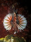 IMG_2142.JPG