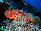 P1010022.JPG