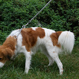 Bianca, left side