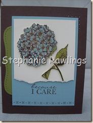because I care 001 because I care 001