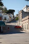 Foto: Gentileza del Sr. Néstor Martinez