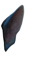 http://lh6.ggpht.com/_cLtYIpb2eCg/TOK-zoWdvgI/AAAAAAAACR4/rVMWeiXdZP4/s512/OrelhasByTainara2.png