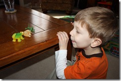 IMG_1213 IMG_1213