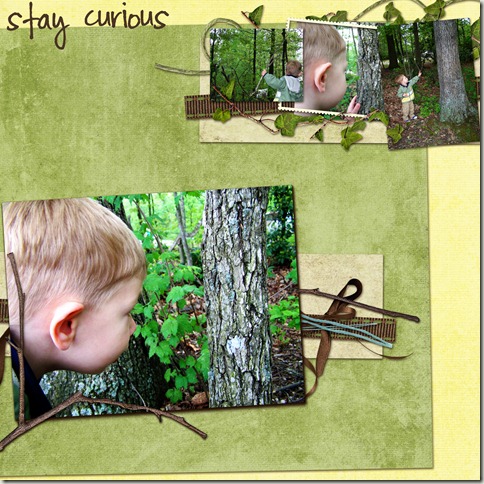 stay curious copy
