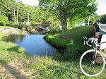 A waterfalls along the road