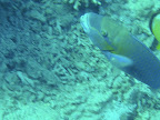 PICT0082.JPG