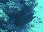 PICT0087.JPG