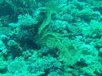 PICT0224.JPG