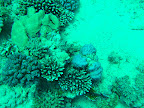 PICT0227.JPG