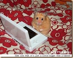 hamster_ds_seattle_roll_lg
