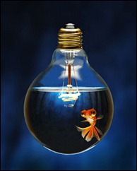 creativity creativity