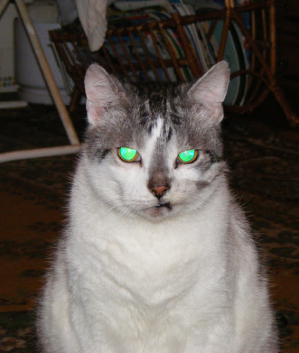 Obrazek