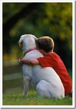 Amor e amizade incondicional Amor e amizade incondicional