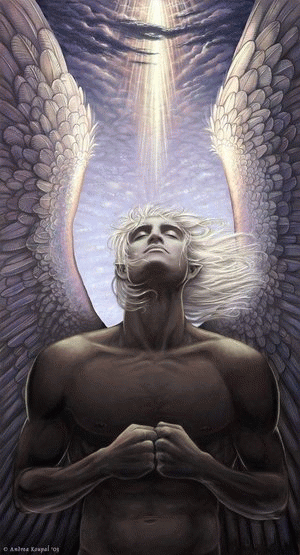 Despertar de Consciência Despertar de Consciência