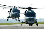 Super Lynx 300