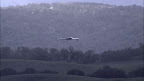 During recent testing, the 12-foot and 10-foot wingspan Bat™ were each successfully launched from an AAI Shadow® UAS launcher and autonomously operated from a single ground control station before recovery via net Bat UAS