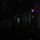 DSC03206.JPG