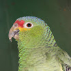 IMG_0671.JPG