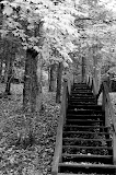 Black and White Steps