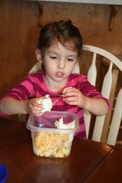 IMG_0053 IMG_0053