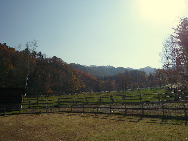 大きくしてね♪
