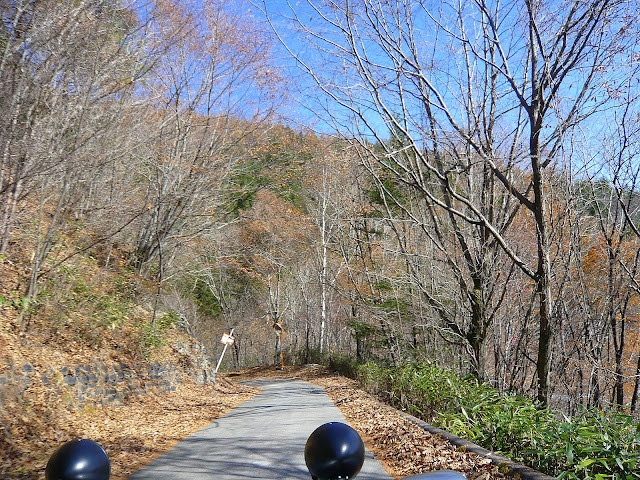 大きくしてね♪