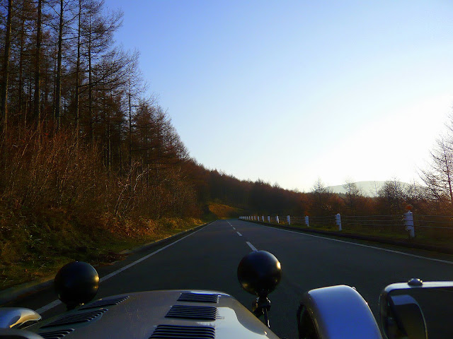 大きくしてね♪