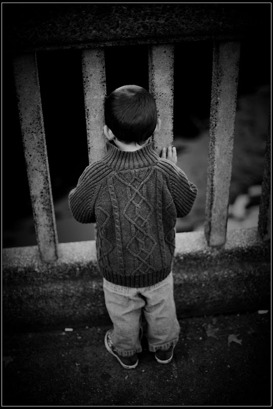 IMAGE: http://lh6.ggpht.com/_cYmfRMewE4Q/SQx31s1njKI/AAAAAAAAH18/RChia3Uy3cA/s800/VG2L2034.JPG