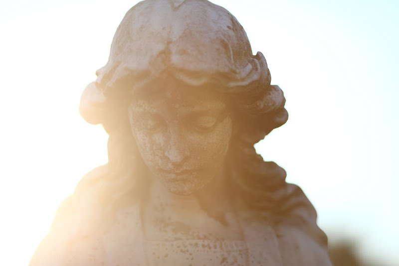 IMAGE: http://lh6.ggpht.com/_cYmfRMewE4Q/Sm7tWaiqR4I/AAAAAAAAMmE/nulTO7gje3M/s800/IMG_4050.JPG