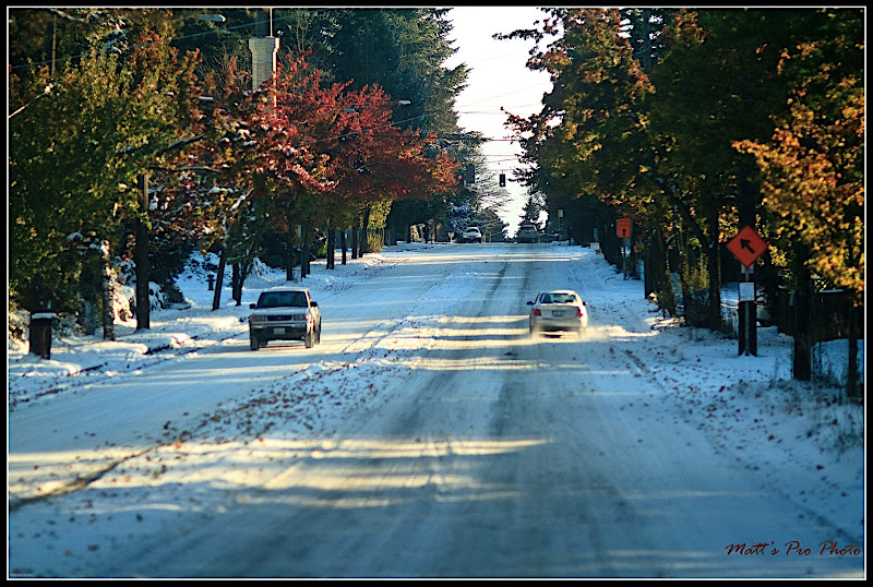 IMAGE: http://lh6.ggpht.com/_cYmfRMewE4Q/TOyoBj2P_pI/AAAAAAAAOGM/lItzWAvQKRM/s800/IMG_9857.jpg