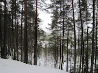 K6rvemaa 005.jpg Photo K6rvemaa 005.jpg Photo