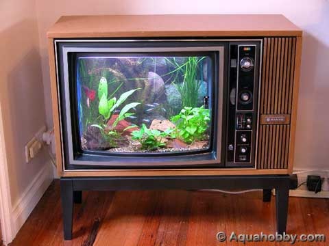 [tv-aquarium[2].jpg]