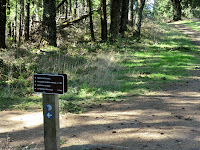 CIMG0197.JPG Photo