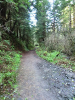 CIMG0199.JPG Photo