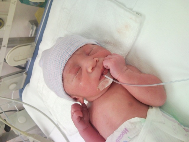 [1-Nigel(30 mins old)[6].jpg]