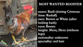 WANTED