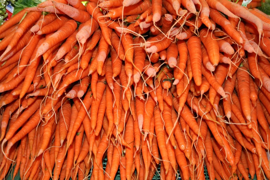 Carrots, Lots of Carrots! Carrots, Lots of Carrots!