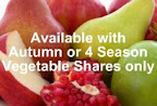 Photo of the share - Autumn Fruit