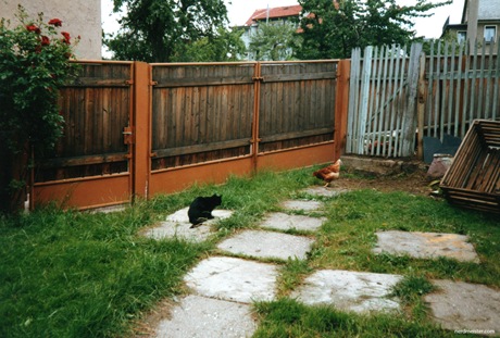 blacky2