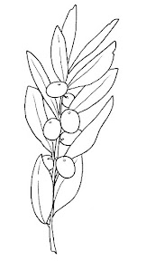 olioRamo.jpg