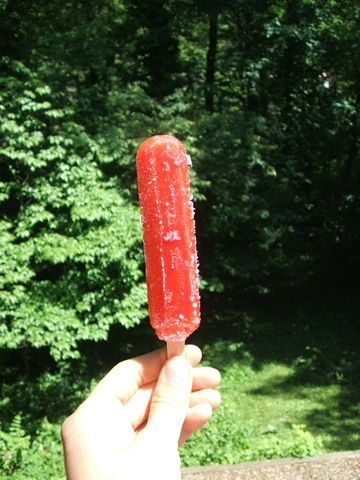 [popsicle[5].jpg]