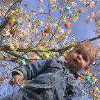 DSCN6816.JPG