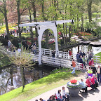 DSCN6826.JPG