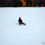 DSC_3460.JPG